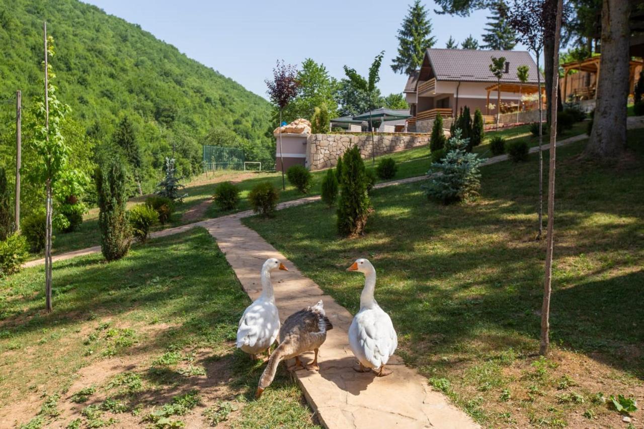 Vila Jasen - Bjelasnica Saraievo Exterior foto